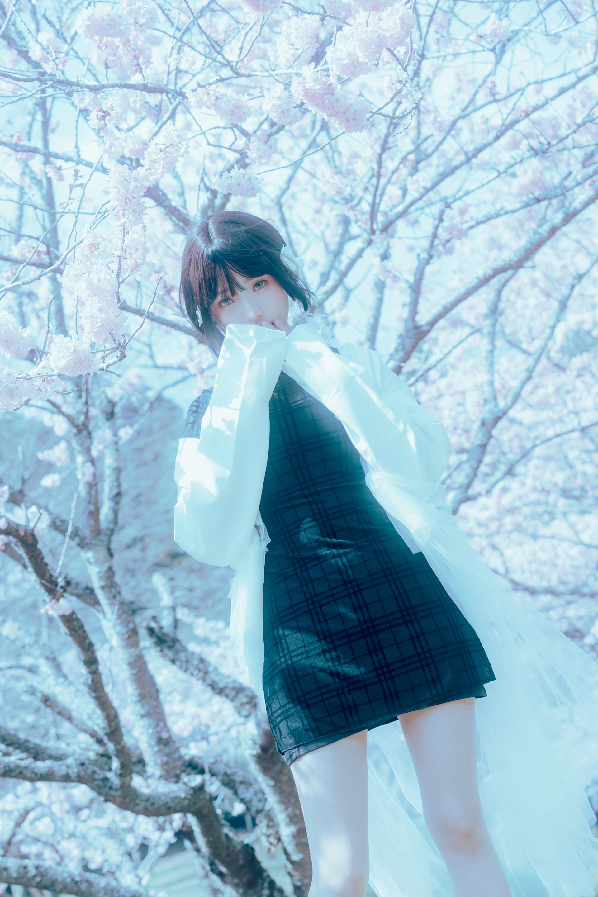 ElyEE子 - NO.130 2024.April-Tier 3 2